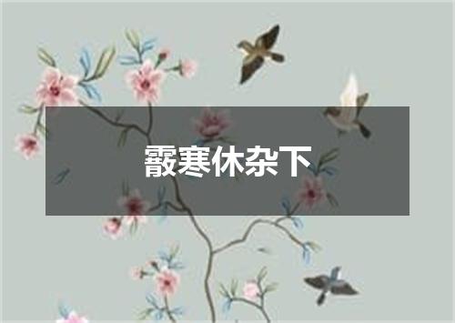 霰寒休杂下