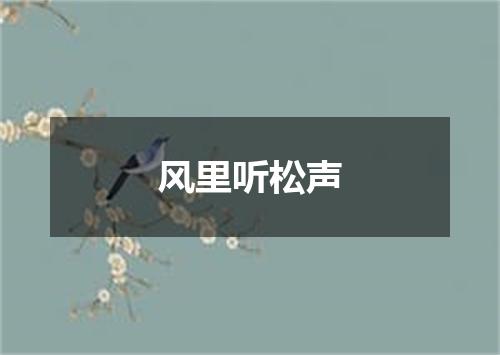 风里听松声