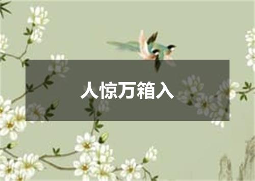 人惊万箱入