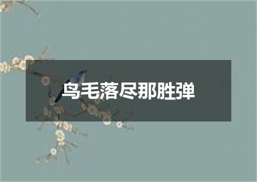 鸟毛落尽那胜弹
