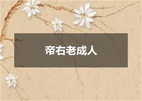 帝右老成人