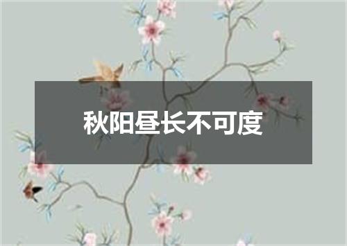 秋阳昼长不可度