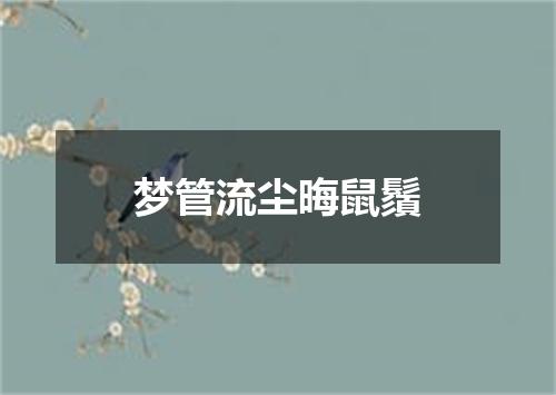 梦管流尘晦鼠鬚