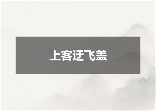 上客迂飞盖