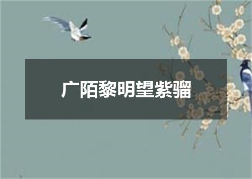 广陌黎明望紫骝