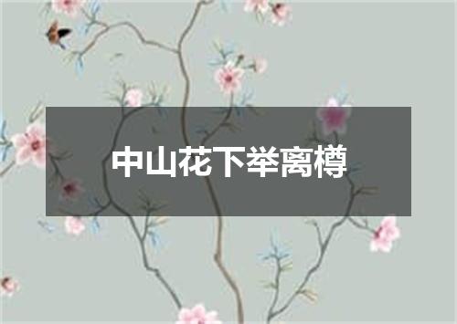 中山花下举离樽