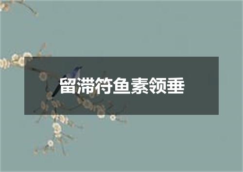 留滞符鱼素领垂