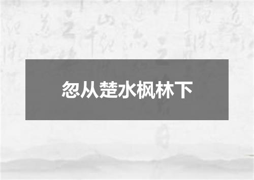 忽从楚水枫林下
