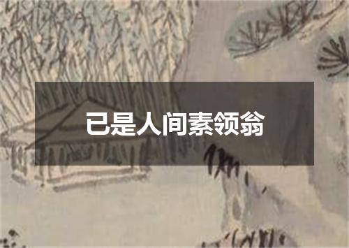已是人间素领翁