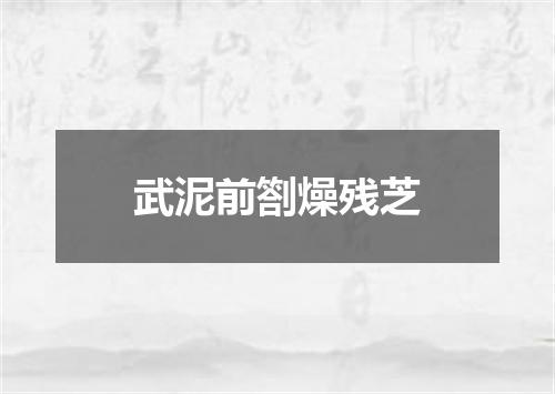 武泥前劄燥残芝