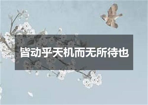 皆动乎天机而无所待也