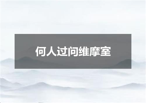 何人过问维摩室