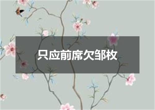 只应前席欠邹枚