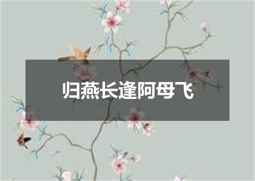 归燕长逢阿母飞