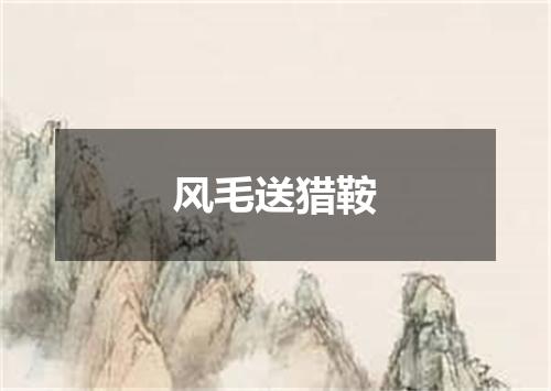 风毛送猎鞍