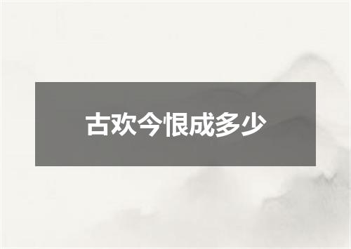 古欢今恨成多少