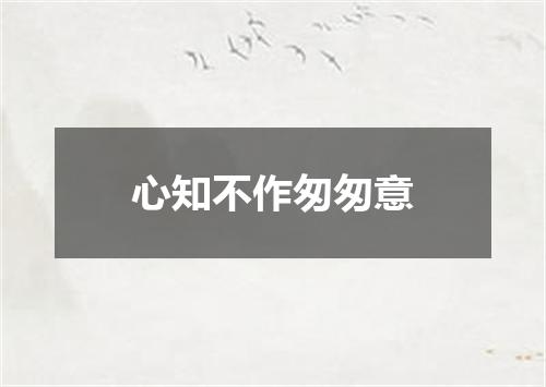 心知不作匆匆意