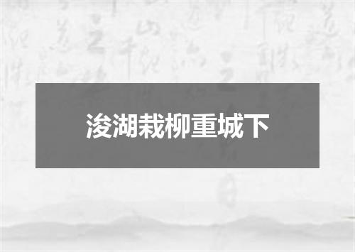 浚湖栽柳重城下
