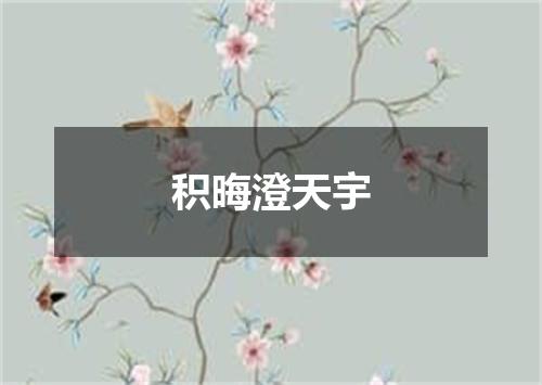 积晦澄天宇