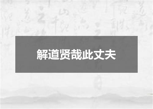 解道贤哉此丈夫