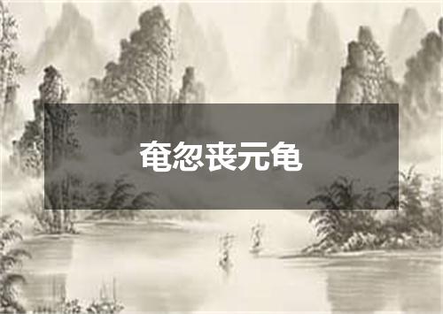 奄忽丧元龟