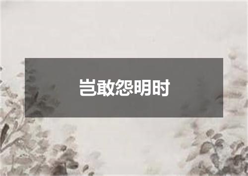 岂敢怨明时