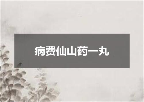 病费仙山药一丸