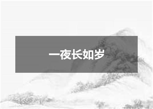 一夜长如岁