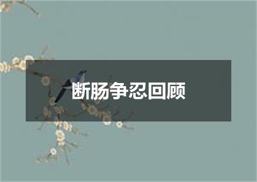 断肠争忍回顾