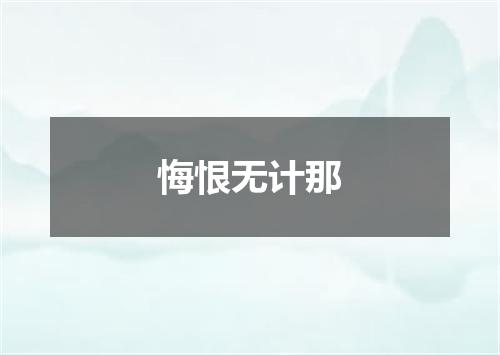 悔恨无计那