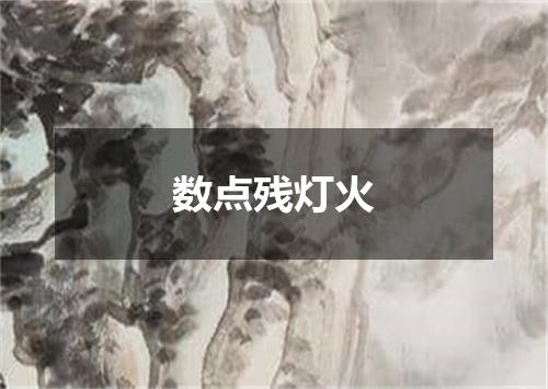 数点残灯火