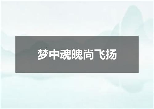 梦中魂魄尚飞扬
