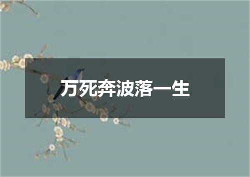 万死奔波落一生