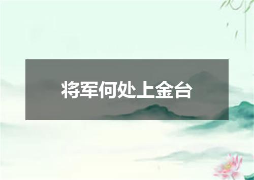 将军何处上金台