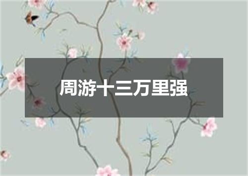 周游十三万里强