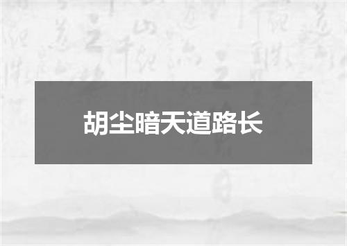 胡尘暗天道路长