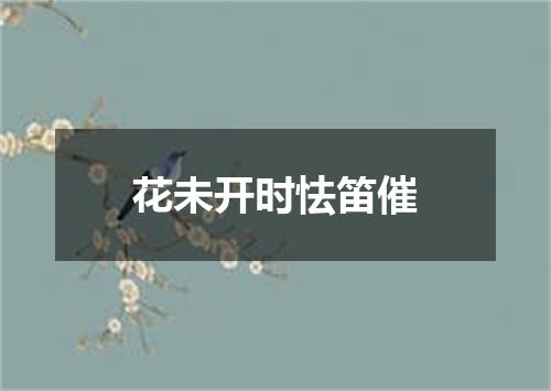 花未开时怯笛催