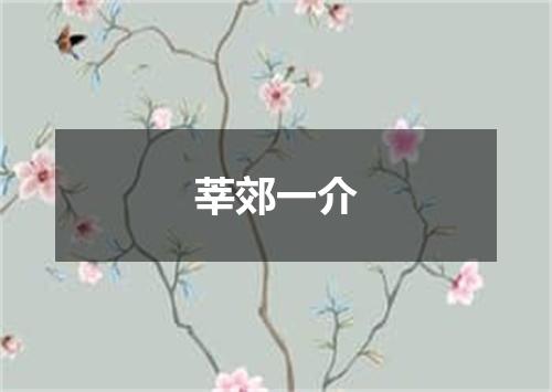 莘郊一介