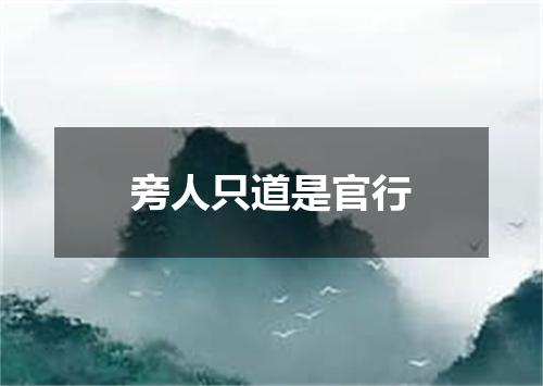 旁人只道是官行