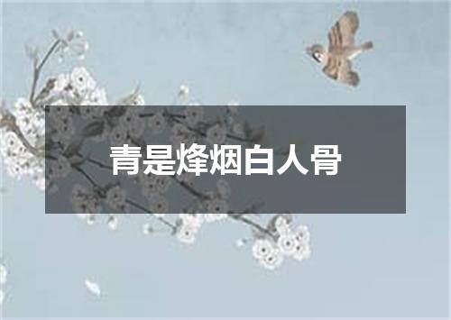 青是烽烟白人骨