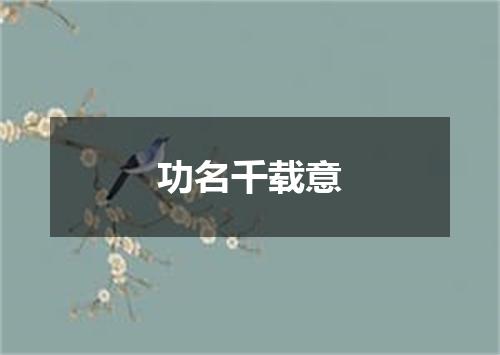 功名千载意