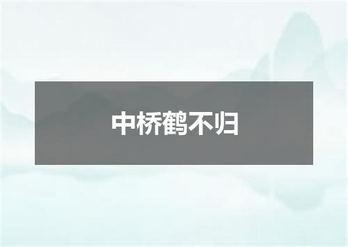 中桥鹤不归