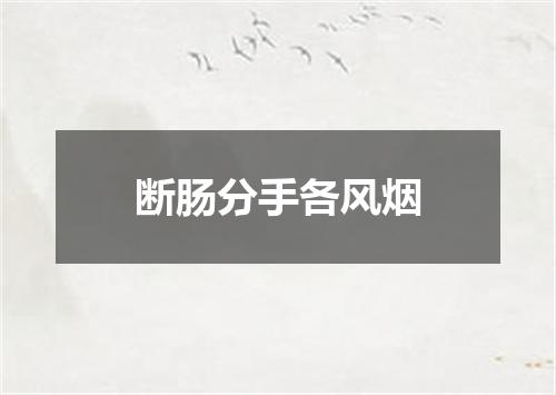 断肠分手各风烟
