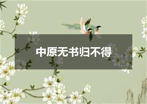 中原无书归不得