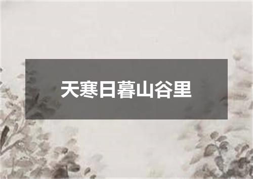 天寒日暮山谷里