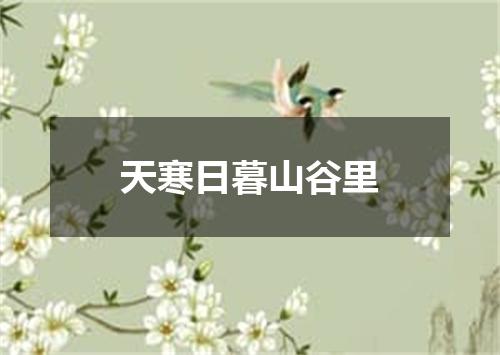 天寒日暮山谷里