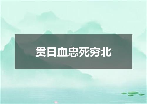 贯日血忠死穷北