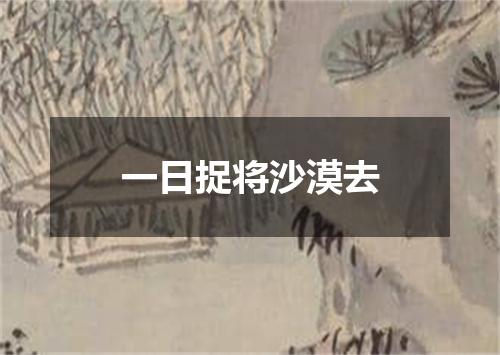 一日捉将沙漠去