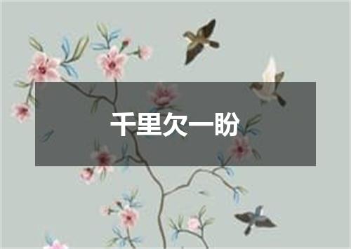 千里欠一盼