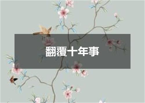 翻覆十年事